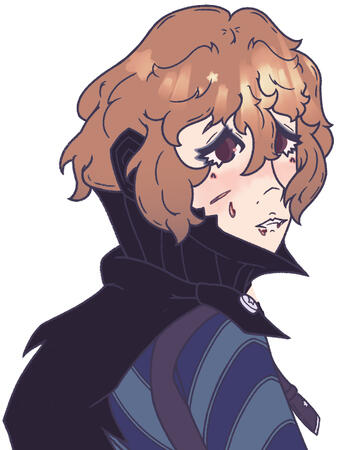 akechi polaroid thingy
